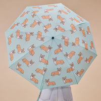 Chien Corgi | Parapluie Canard